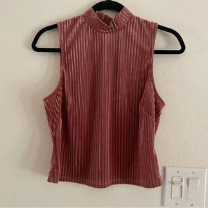 Renvy Mauve Pink Semi Sheer Sleeveless Velvet Striped Mock Neck Crop Top Medium